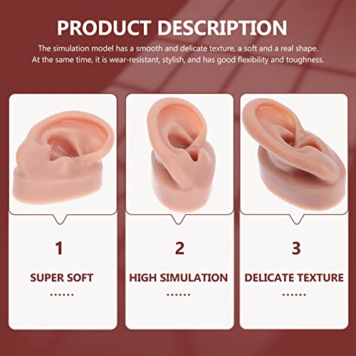 Lurrose Ear Piercing Model Acupuncture Ear Model Silicone Piercing Ear Model ...
