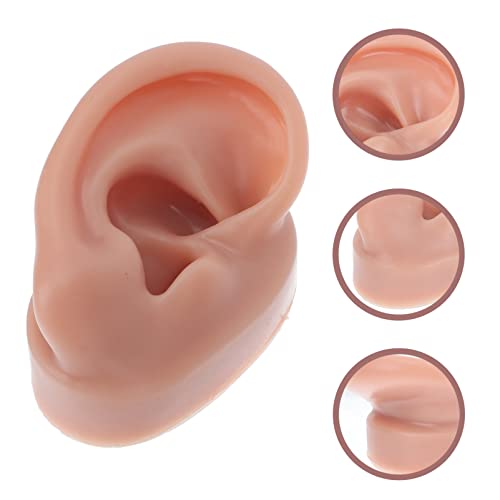 Lurrose Ear Piercing Model Acupuncture Ear Model Silicone Piercing Ear Model ...