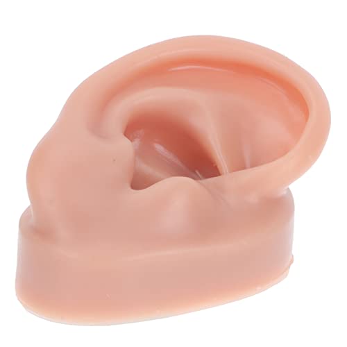 Lurrose Ear Piercing Model Acupuncture Ear Model Silicone Piercing Ear Model ...