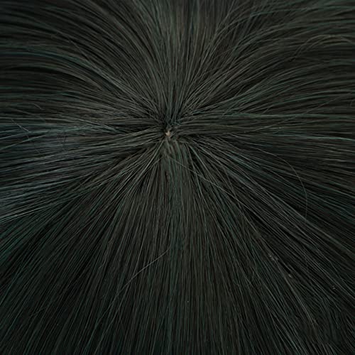 Lwiuentx My Hero Academia Cosplay Asui Tsuyu Long Straight Green Wig+ free wi...