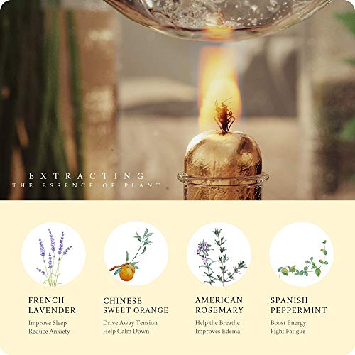 MAGANIO Classic Essential Oils Gift Set Top 8 [Selected A+ Plants] 100% Pure ...