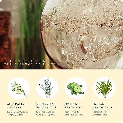 MAGANIO Classic Essential Oils Gift Set Top 8 [Selected A+ Plants] 100% Pure ...