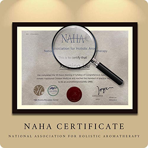 MAGANIO Classic Essential Oils Gift Set Top 8 [Selected A+ Plants] 100% Pure ...