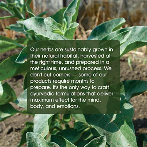 Maharishi Ayurveda - Organic Ashwagandha | Natural Tension & Stress Relief Su...