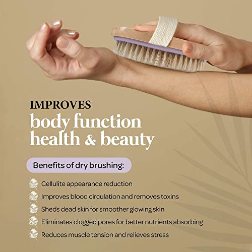 MainBasics Natural Bristle Dry Body Brush Exfoliating Body Scrubber for Dry S...