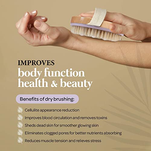 MainBasics Natural Bristle Dry Body Brush Exfoliating Body Scrubber with Mass...