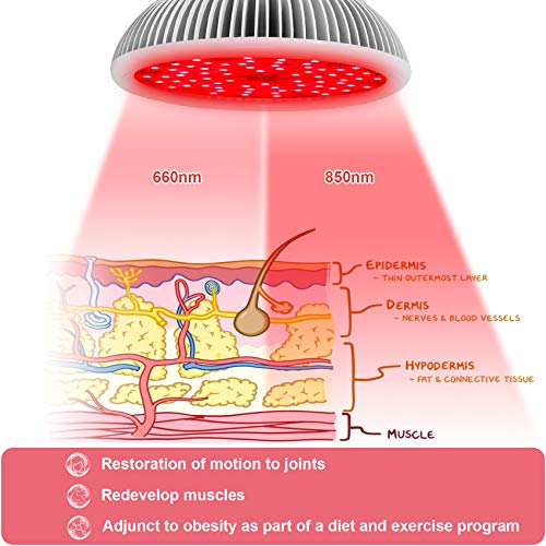 Red Light Therapy Lamp with Transparent Cover, MAINENG 144 LEDs 660nm and Nea...