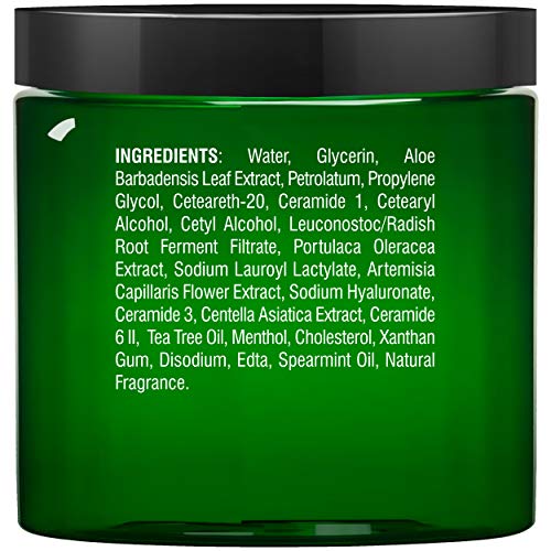 MAJESTIC PURE Athletes Foot Cream with Tea Tree Oil, Aloe & Spearmint - Hydra...