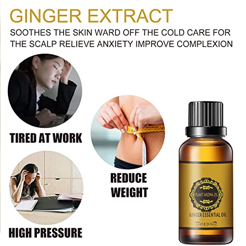 Belly Drainage Ginger Oil, Lymphatic Drainage Ginger Oil, Slimming Tummy Ging...