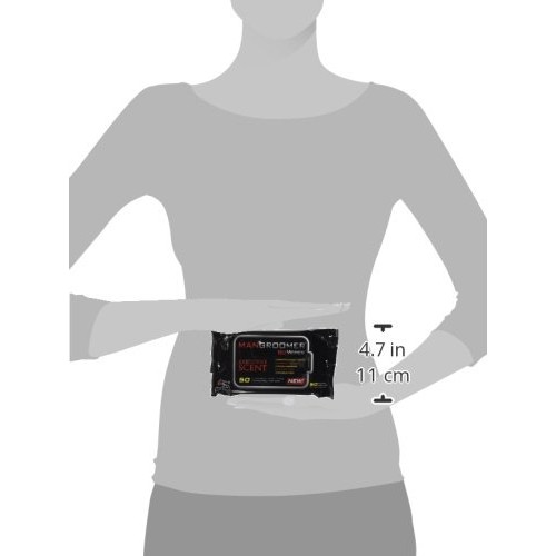 MANGROOMER Biz Wipes Flushable Moist Personal Wipes Engineered for Men, Execu...