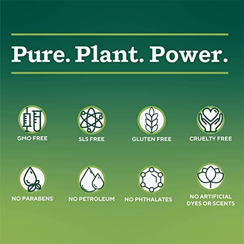 Organic Ear Oil for Ear Infections, All Natural Eardrops for Infection Preven...