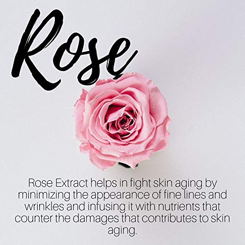 Masqueology - Wild Rose Gold Hydro-Gel Mask | Collagen and Hydrating Facial S...