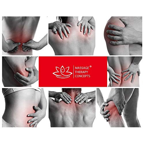 TENS Unit and EMS Combination Muscle Stimulator with 2 Channels, 12 Modes for...