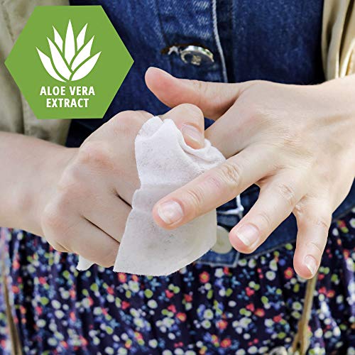 Medpride Hand Wipes With 75% Alcohol [100 Pack] – Gentle Sanitizing Wet Wipes...