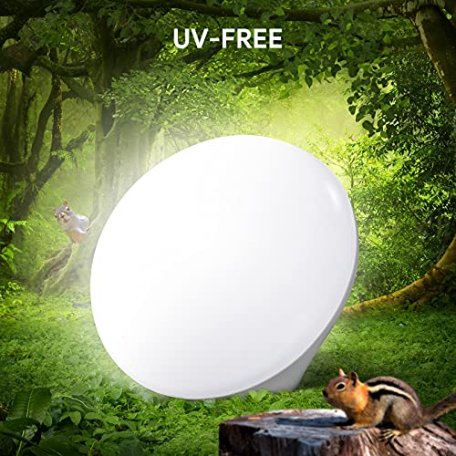 Light Therapy Lamp, MediAcous UV-Free 10000Lux LED Therapy Light, Touch Contr...