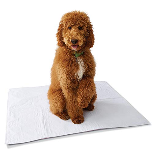 Medline Softnit 300 Washable Underpads, Pack of 4 Large Bed Pads, 34" x 36", ...