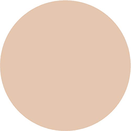Mehron Makeup CreamBlend Stick - Foundation (.75 oz) (Light 2)