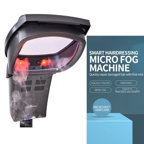 Professional Ozone Micro Mist Salon Styling Hair Steamer Hair Care Standing T...