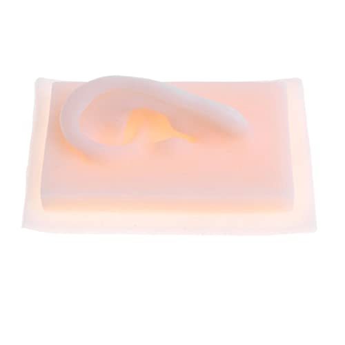 menolana 1 Pair 1:1 Lifesize Silicone Human Acupuncture Ear Model Study Kit