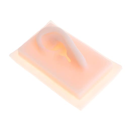menolana 1 Pair 1:1 Lifesize Silicone Human Acupuncture Ear Model Study Kit