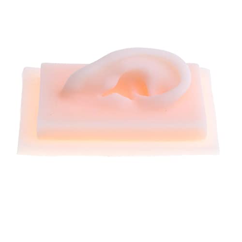 menolana 1 Pair 1:1 Lifesize Silicone Human Acupuncture Ear Model Study Kit