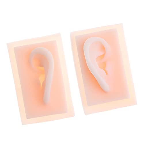 menolana 1 Pair 1:1 Lifesize Silicone Human Acupuncture Ear Model Study Kit