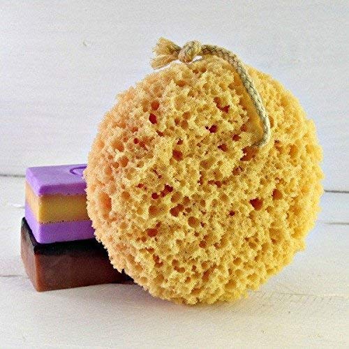 Michelle's Melting Pot Exfoliating Foam Sea Sponge Natural Feel Bath Sponge (...