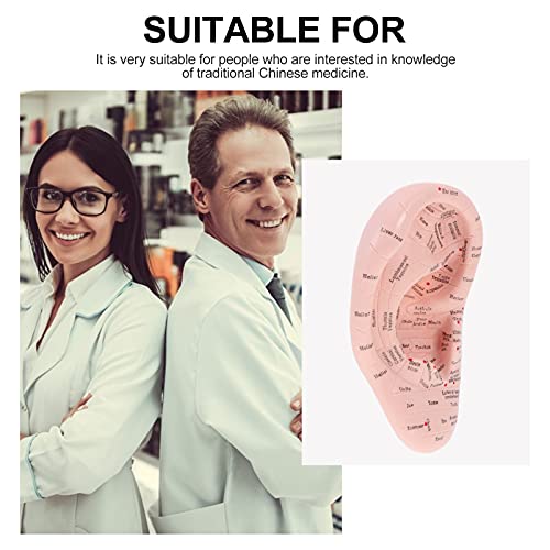 MILISTEN Ear Model Soft Ear Acupuncture Model Silicone Professional Reflexolo...