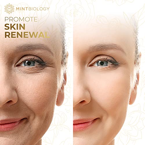 Korean Sheet Mask | AGELESS Advanced Nutrient Locking Korean Skin Care Masks ...