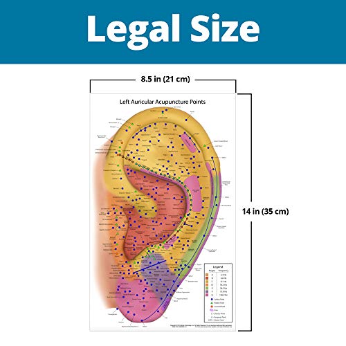 Ultimate Auriculotherapy Reference Card, Showing All Ear Points, Areas, Seque...