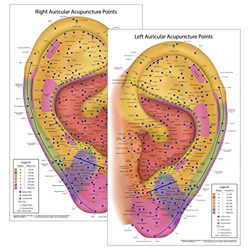 Ultimate Auriculotherapy Reference Card, Showing All Ear Points, Areas, Seque...