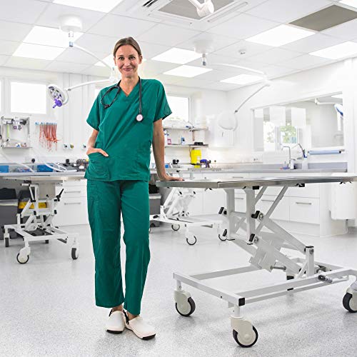 Misty Concentrated Disinfectant - 1 Gallon (Case of 4) 1038809 - Quat-Based G...