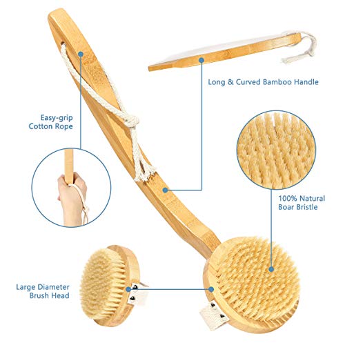 Shower Brush, Moduskye Back Brush with Long Curved Detachable Handle, Bath Bo...
