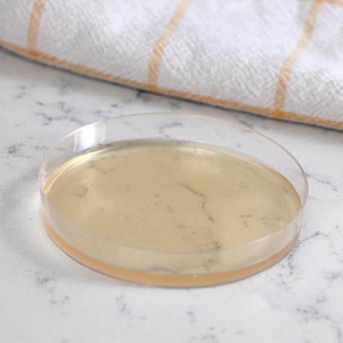 Mold Armor FG500 Do It Yourself Mold Test Kit FG500, FG500 Do It Yourself Mol...