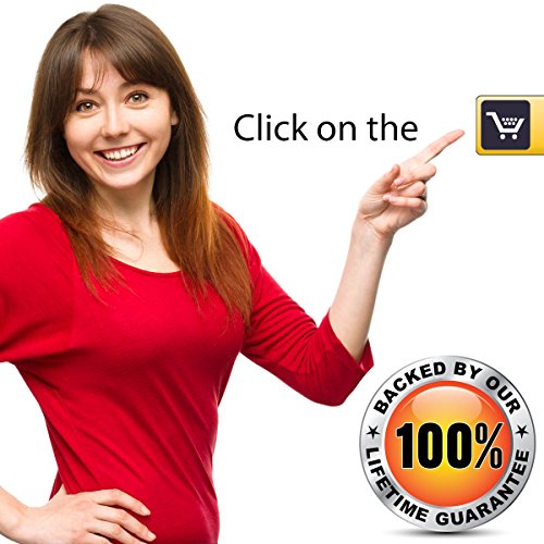 Moldex Soft Foam Ear Plugs 50 Pairs Softies® Earplugs -33dB Highest NRR Made ...