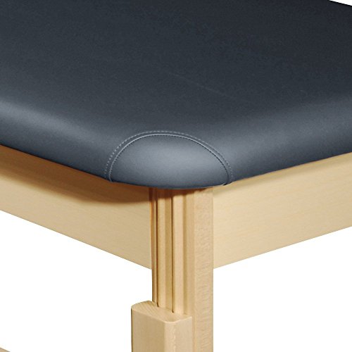 MT Harvey Treatment Stationary Massage Table for Clinic,Massage and Acupuncture