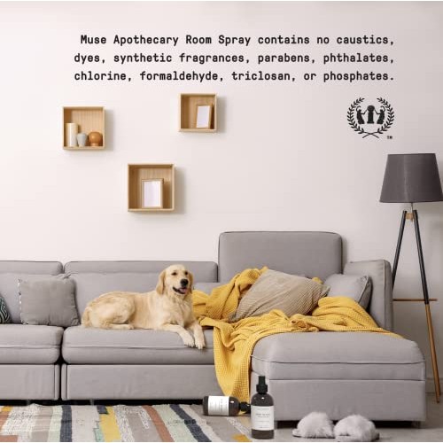 Muse Bath Apothecary Room Ritual - Aromatic and Relaxing Room Mist, 8 oz, Inf...