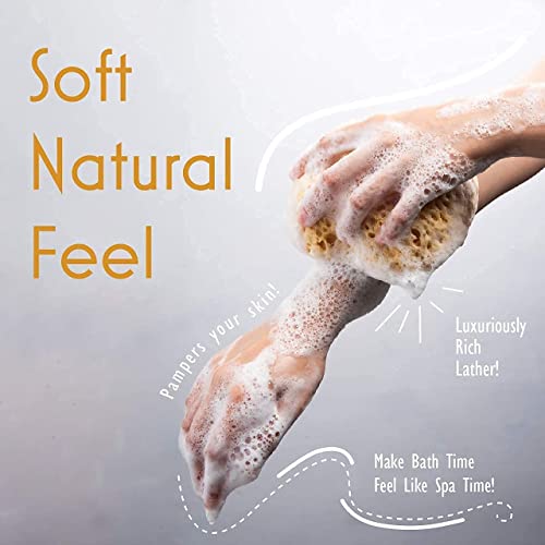 myHomeBody Premium Bath Sponge, Foam Loofah Sponge, Body Sponge for Shower - ...