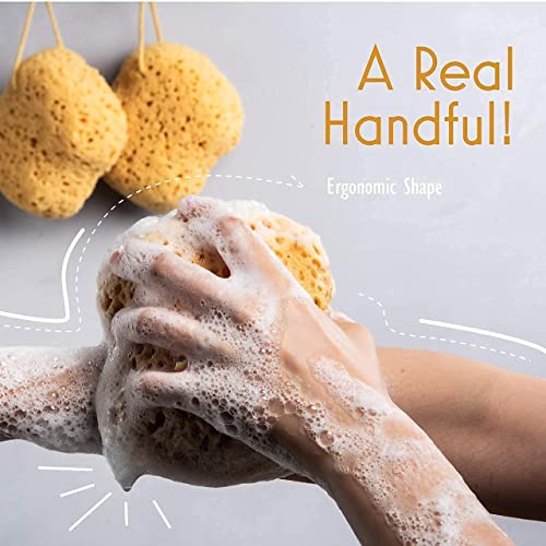myHomeBody Premium Bath Sponge, Foam Loofah Sponge, Body Sponge for Shower - ...