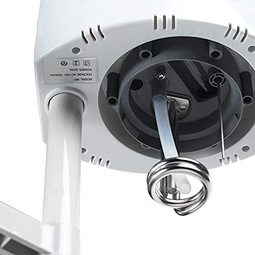 2 in 1 Professional Ozone Nano Ionic Face Steamer with 5X Magnifying Lamp, La...