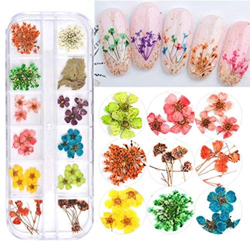 Nail Art Real Dried Flower Set - 3D Nail Art Accessories Kits Nail Parts Pres...