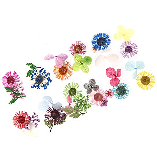 Nail Art Real Dried Flower Set - 3D Nail Art Accessories Kits Nail Parts Pres...