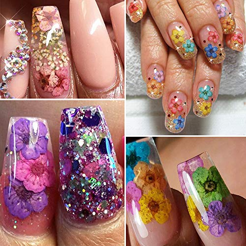 Nail Art Real Dried Flower Set - 3D Nail Art Accessories Kits Nail Parts Pres...