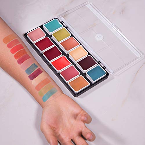 Narrative Cosmetics 12 Color Complexion Alcohol Activated Makeup Palette Kit ...