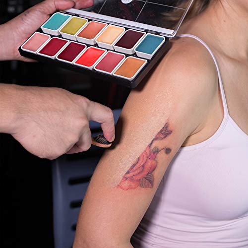 Narrative Cosmetics 12 Color Complexion Alcohol Activated Makeup Palette Kit ...