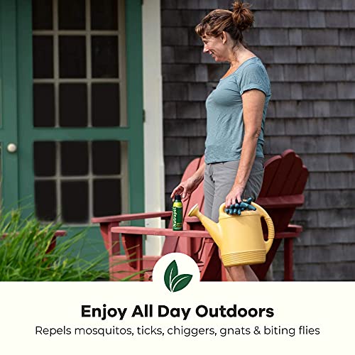 Natrapel Insect Repellent Spray, 6 oz (Pack of 2)