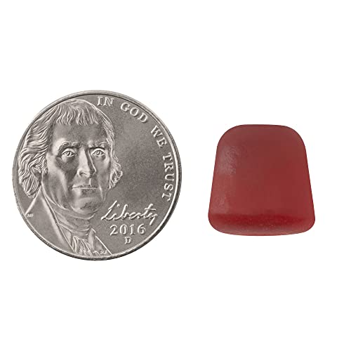 Natrol Relax+ Day Calm Daily Stress Relief Gummies, Fruit Punch Flavor, 60 Gu...