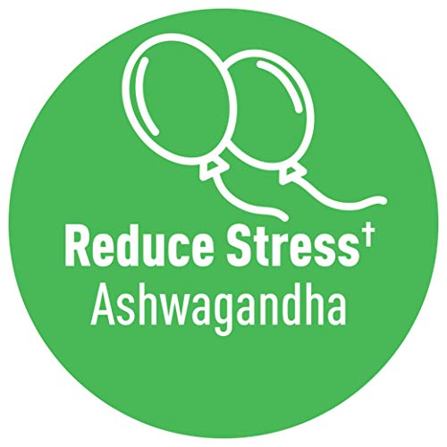 Natrol Relax+ Day Calm Daily Stress Relief Gummies, Fruit Punch Flavor, 60 Gu...