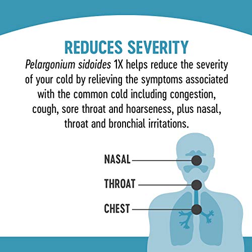 Nature's Way Umcka ColdCare Soothing Hot Drink Mix, Feel Better Faster, Clini...