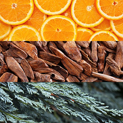 Nautica Blue Sail Men's Deodorizing Body Spray, 6 Fl Oz